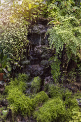 stone statue overgrown with moss, among many plants, which flow down the waterfall streams of water