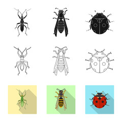 Vector design of insect and fly logo. Collection of insect and element stock vector illustration.