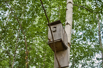 old wooden birdhouse on the birch, not a beautiful birdhouse, Russian birdhouse