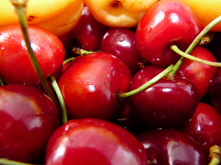 berries of a sweet cherry background
