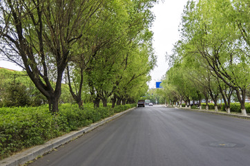 highway on the plain