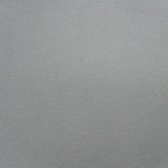 White Grey background with Gradient abstract studio background textured