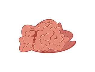 Cartoon brain.Vector illustration.Convolutions concept.
