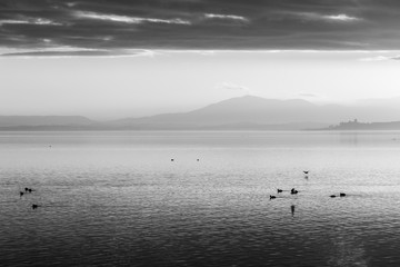 Beautiful view of Trasimeno lake at sunset with birds on water and Castiglione del Lago town in the background