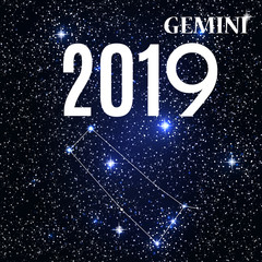 Symbol: Gemini Zodiac Sign with the New Year and Christmas 2019. Vector Illustration