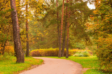 Obraz premium photo of an autumn empty park on a cloudy day