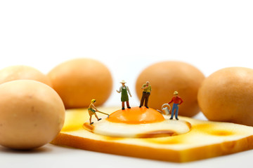 Miniature people : worker cooking  Fried Bread egg using for concept of World egg Day.