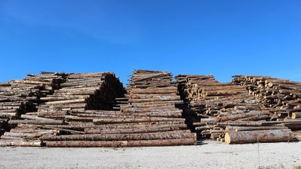 Large stack of chopped tree trunks under the sun, between a country road and a blue sky