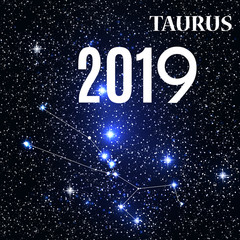 Symbol: Taurus Zodiac Sign with the New Year and Christmas 2019. Vector Illustration