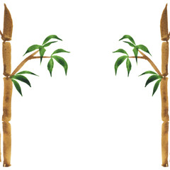 Bamboo tree set isolated on white background. Hand drawn watercolor illustration.