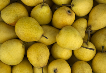 Fresh pears as background, top view