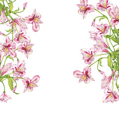 Pink lilly flowers border on white background. Hand drawn watercolor illustration.
