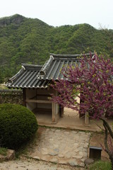 Fototapeta na wymiar Byeongsanseowon Confucian Academy