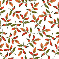 Seamless pattern with autumn red and green leaves on white background. Hand drawn watercolor and ink illustration.