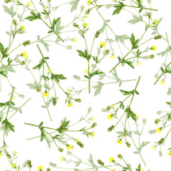 Seamless pattern with summer yellow flowers on white background. Hand drawn watercolor illustration.