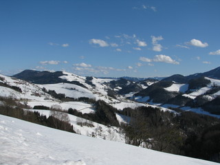 Fototapeta na wymiar Pichlinger See - Austria