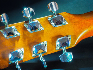 The musical instrument is a classical acoustic guitar of light cinnamon blossoms with a dark neck...