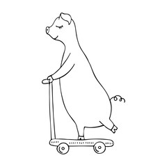 Vector monochrome hand-drawn illustration of a pig riding on a scooter.