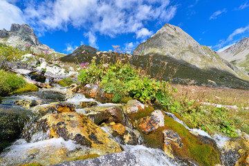Water of a torrent flowing on stones into the mountain