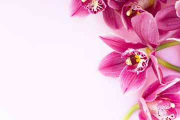 Spa and wellness setting with orchid flower, oil on wooden white background closeup top view