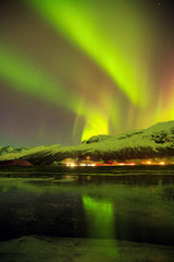 The Northern lights (Aurora borealis), Iceland.