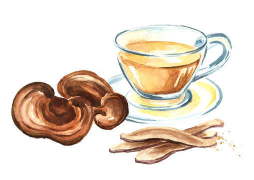 Lingzhi mushroom or reishi mushroom slice and tea. Watercolor hand drawn illustration isolated on white background