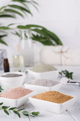Ceramic bowls with different clay powder and fresh eucalyptus leaves on white background. Concept of face and body care.