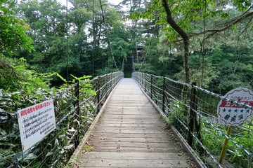 Obraz premium 厳美渓 吊り橋