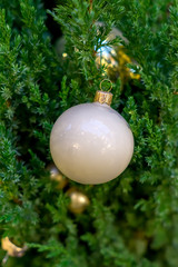 Christmas and New Year holidays background.  Christmas tree decorated with white and golden balls. Celebration concept