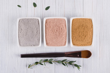 Fototapeta na wymiar Beauty concept. Flat lay, Different clay mud powders natural ingredients for homemade facial and body mask or scrub