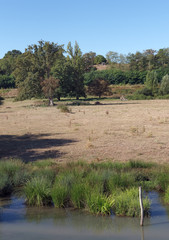 Hill and agricultural field  in the Loire valley