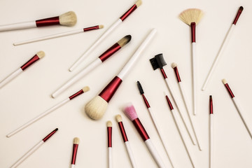 Professional set of brushes for modern makeup