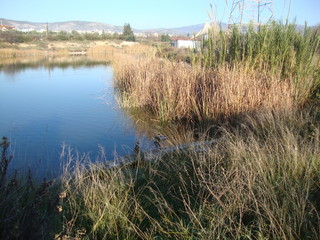 landscape with lake and blue sky