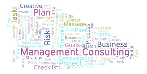 Management Consulting word cloud, made with text only.