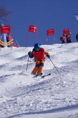 ski de bosses - compétition