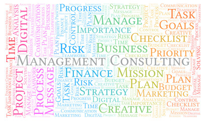 Management Consulting word cloud, made with text only.