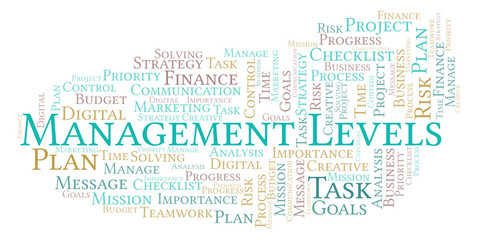 Management Levels word cloud, made with text only.