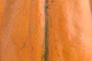 a big pumpkin for halloween