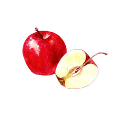Red Apple and Apple cut, watercolor illustration.
