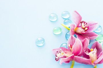 Spa and wellness setting with orchid flower, glass drops on wooden blue background closeup top view