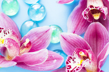 Spa and wellness setting with orchid flower, glass drops on wooden blue background closeup top view