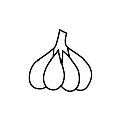 Black & white vector illustration of whole garlic bulb. Line icon of fresh head of garlic with cloves. Spice & seasoning. Vegan & vegetarian food. Isolated  on white background.