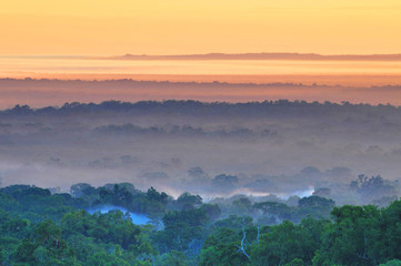 View of a sunrise above the Peten jungle with the pyramids of Tikal towering above the tree canopy...
