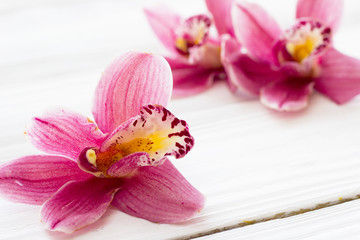Fototapeta na wymiar Spa and wellness setting with orchid flower, oil on wooden white boards background closeup top view