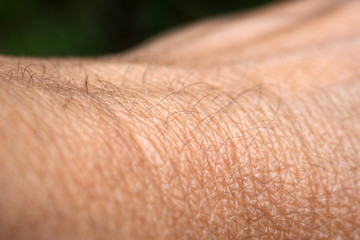 Texture clean the epidermis of the hands. Human skin with hairs in the details.