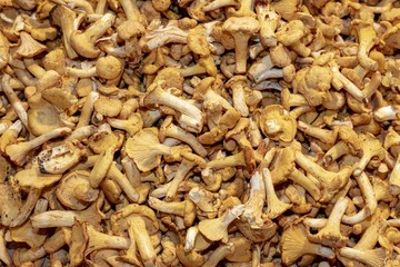 Pfifferlinge auf dem Markt