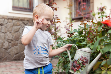 Cute caucasian little boy with blonde hair and blue eyes watering plants (roses) in the yard, with metal watering-can drawing by hand. Outdoors, summer day. Wearing casual (blue trousers, grey t-short