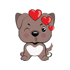 American pitbull terrier