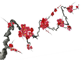 A branch of a blossoming tree. Pink and red stylized flowers of plum mei, wild apricots and sakura . Watercolor and ink illustration in style sumi-e, u-sin. Oriental traditional painting.