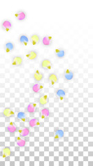 Vector Realistic Colorful Petals Falling on Transparent Background.  Spring Romantic Flowers Illustration. Flying Petals. Sakura Spa Design. Blossom Confetti. Design Elements for Wedding Decoration.
